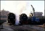 Hochbetrieb an der Bekohlung in Wernigerode am 10.12.1991. Links 997245 und rechts 997246.