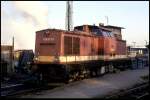 Harz  Kamel  199871 am 10.12.1991 im Schmalspurbahnhof Wernigerode.