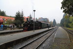 99 5901 mit IG HSB-Sonderzug am Vormittag des 17.10.2015 auf Gleis 1 im Bahnhof Drei Annen Hohne. (Bild 2)