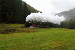 Scheinanfahrt von 99 5901 mit IG HSB-Sonderzug am 17.10.2015 bei Netzkater zwischen Ilfeld und Eisfelder Talmühle.
