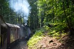 Den Brocken hinauf musste die 99er ganz schön ackern. Denn hier beträgt die maximale Steigung 33.3 Promille also satte 3.33 Prozent Steigung. Für Straßenfahrzeuge kein Problem doch bei der Eisenbahn muss ja viel mehr Masse den Berg hochgezogen werden und die Reibung zwischen Metall und Metall ist auch eher gering.

Brocken 22.07.2016