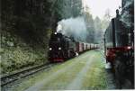 Zugkreuzung eines Brockenzuges und Harzquerbahnzuges im Bahnhof Steinerne Renne. Am 2.4.2007 um 15:00