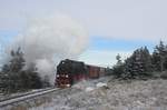 99 222 taucht aus den leichten schneebedeckten Bäumen auf und nähert sich der Fußübergang am Hartenweg, fast am Ende des Aufstiegs zum Höhepunkt des Brocken.