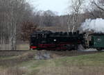 99 1761 kurz vor der Seeüberquerung Dippelsdorfer Teich. 27.01.2019 12:30 Uhr.