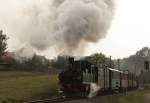 Die Neubau IV K 99 586,  getarnt  als schsiche IVK No 176 verlsst am 24.10.09 mit viel Dampf den Bahnhof Friedewald in Richtung Radeburg.