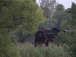 Eine  Dschungelbahn  gibt es unweit von Dresden. Schräger Teleblick  auf den Damm über den Dippelsdorfer Teich.