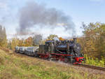 Mansfelder Bergwerksbahn, Güterzugtag 2017.