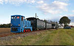 Historisches Eisenbahnwochenende Benndorf–Staßfurt

Lok 33 (LKM V 10 C) mit dem letzten Umlauf des Tages beim Umsetzen am Gleisdreieck Siersleben.

🧰 Mansfelder Bergwerksbahn e.V. (MBB)
🚝 Zug 184 Benndorf–Hettstedt Kupferkammerhütte
🕓 1.10.2022 | 17:36 Uhr