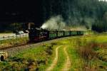 Prenitztalbahn: Personenzug mit 99 1590-1 Richtung Steinbach kurz vor Bahnbergang Grumbacher Strae - Mai 2001