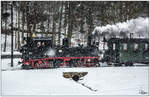 Let it snow -99 1590 der Preßnitztalbahn nahe Wildbach.