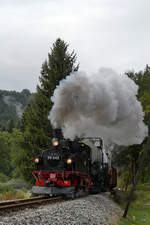 Die Dampflokomotive 99 542 zieht einen Güterzug in Richtung Schmalzgrube, abgelichtet in der Nähe der Haltestelle Forellenhof.