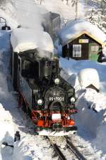 Winterdampf im Prenitz - und Schwarzwassertal.