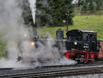 Die Dampflokomotive 99 1594-3 auf Rangierfahrt. (Jöhstadt, September 2020)