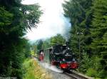 Am 11.07.2009 bespannte 99 4511 die Planzge der Prenitztalbahn. Aufgenommen nahe Steinbach.