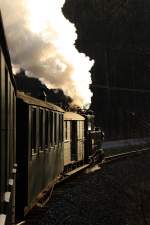 Auf Zugfahrt mit IK No 54 am 29.11.09 zwischen Steinbach und Schmalzgrube.