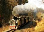 Die  flasche  Lichtseite habe ich bewusst am 29.11.2009 nahe Steinbach gewhlt.