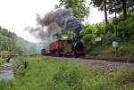 Im Rahmen einer Fotoveranstaltung am 25.06.2010 erreicht der Gterzug  hier den Hp.Wildbach.