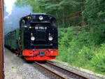 99 1784-0 in der Baaber Heide, auf dem Weg nach Binz.