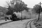 11.07.1981 Bahnstrecke Göhren-Putbus, Bahnhof Sellin, 99 4801 mit einem Zug von Zug von Göhren fährt ein