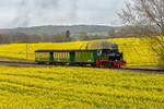   Der Rasende Roland mit der Lok 99 4801 „im Rapsfeld“ zwischen Göhren und Putbus.