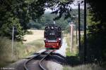 Kurz vor der letzten Kurve vor dem Bahnhof Putbus gelang mir diese schne Aufnahme mit dem Teleobjektiv auf 99 782 am 25.07.2013.