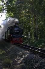 Kurz hinter Göhren in der Baaber Heide, 99 1781-6 unterwegs Richtung Baabe.17.08.2016  09:57 Uhr.