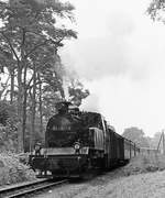 01.07.1981 Schmalspurbahn Göhren - Putbus, Lok DR 99 4801 verlässt mit ihrem Zug den Bahnhof Göhren