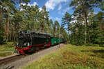 99 4011 der Rügenschen Bäderbahn unterwegs durch den Küstenwald zwischen Göhren und Baabe. Ursprünglich stammt diese Lok aus den Beständen der Mansfelder Bergbahn und verrichtet seit 2008 ihren Dienst beim Rasenden Roland auf der Strecke zwischen Lauterbach Mole und dem Ostseebad Göhren