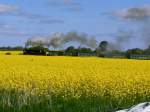 99773 in den Rapsfeldern vor Putbus am 13.05.08