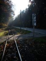 Herbststimmung beim Rasenden Roland.Aufgenommen an einem unbeschrankten Bahnbergang bei Philippshagen.Obwohl es Aussieht als ich htte ich die Aufnahme im Gleis gemacht entstand die Aufnahme neben