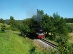 Bei Nistelitz entstand die Aufnahme als 99 1784 am 01.Juli 2010 von Ghren nach Lauterbach Mole vorbei kam.