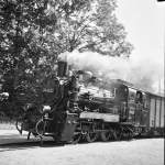 BR 99 4633 Insel Rgen , Juli 1967 , nach Putbus