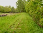 Schon seit vielen Jahren fhrt auf dieser Strecke kein Zug mehr. In den 60iger Jahren wurde auf dem Abschnitt von Putbus nach Altefhr der Bahnbetrieb eingestellt. Hier auf dem Bild noch gut zu erkennen, die noch vorhandenen Gleise kurz hinter dem Bahnhof Putbus , aufgenommen am 28.05.2010 !
