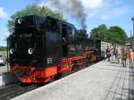 Fast Ghren erreicht hatte 99 1784,am 04.August 2013,als Sie mit ihrem Zug aus Binz in Baabe hielt.