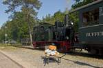 Dampflok  Spreewald  des DEV zum Teddybärentag im Bahnhof Hüinghausen der Sauerländer Kleinbahn (04.06.2023)