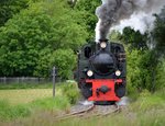 Kuck kuck! Einer der Lokführer hat den Fotografen fest im Blick. Der Museumszug ist auf den Weg nach Stahe.

Birgden 16.05.2016