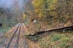 Auch im Rabernauer Grund finden sich noch Spuren des Schneebruchs vom vergangenem Wochenende.