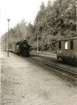 Zug aus Freital fhrt in den Bahnhof Kipsdorf ein, um 1984 -lange vor der groen Flutwelle.