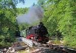 Schmalspurbahn Festival 2013, 99 1771-7 durchfhrt am Nachmittag des 21.07. mit P5152 den Rabenauer Grund.