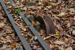 Blich auf eine Seilrolle und die Zahnradschiene der Malbergbahn.