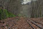Seit der Stilllegung 1979 vor 40 Jahren holt sich die Natur die Strecke Stück fr Stück wieder.