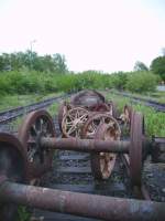 Fast unendlich scheint die Reihe der Achsen,die in der nhe von Darmstadt im Wald liegen.