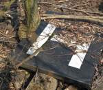 07.04.2009, ehem Bf Podelzig, Strecke 6523 (Frankfurt/O.