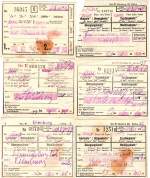 Auch 1977 war Bad Schmiedeberg das Reiseziel, eine Rckfahrt ber Pratau war auch mal dabei  