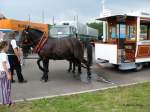 Oh, hier ist wohl der Tank undicht an der Groen Berliner Pferdeeisenbahn; 135 Jahre Straenbahn in Dresden, DD-Trachenberge, 02.06.2007  
