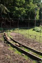 Sie kennen ihren Alltag - und das seit Jahren - .