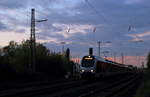 Abendstimmung in Lintorf: Der wegen Gleisbauarbeiten in Düsseldorf-Unterrath umgeleitete RE 19 mit dem Abellio-ET 25 2206 an der Spitze ist am 27.10.2017 unterwegs nach Düsseldorf