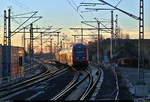 DBpbzfa 763.0 von DB Regio Mitte mit Schublok 143 ???, im Dienste der S-Bahn Mitteldeutschland (DB Regio Südost), als S 37713 (S7) von Halle-Nietleben erreicht während des Sonnenaufgangs