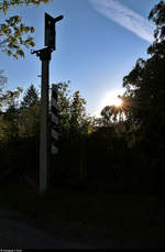 Spurensuche unweit der Haustür:  Die ehemalige Zementfabrik in Halle-Nietleben besaß einen Eisenbahnanschluss über die nun stillgelegte Bahnstrecke Halle Klaustor–Hettstedt