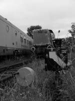 Eisenbahn und Vegetation